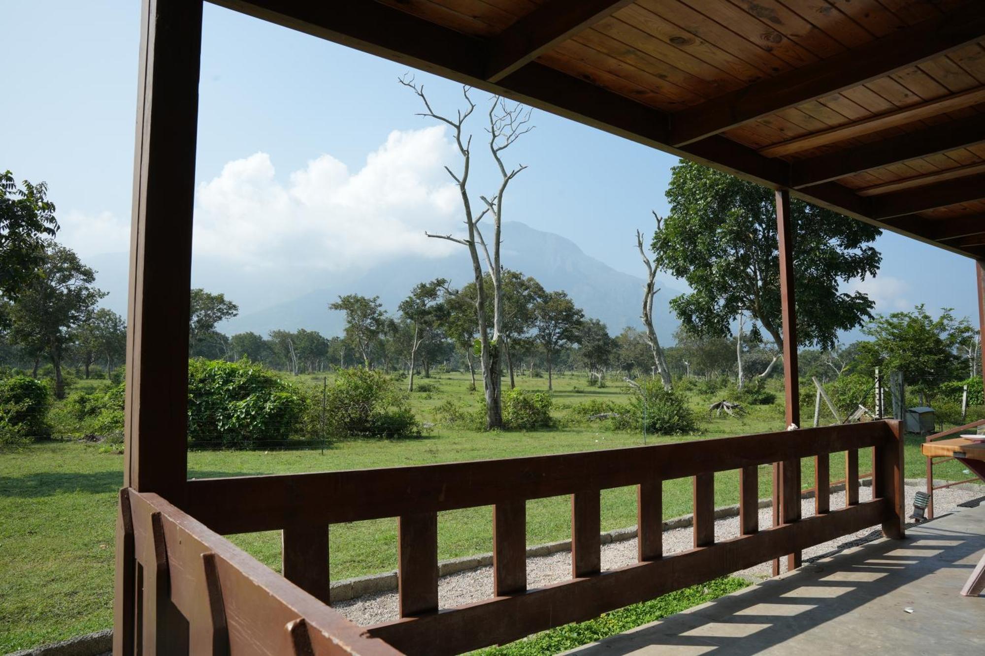 Labdhi Resorts Masinagudi- Stag Groups Not Allowed Exterior photo
