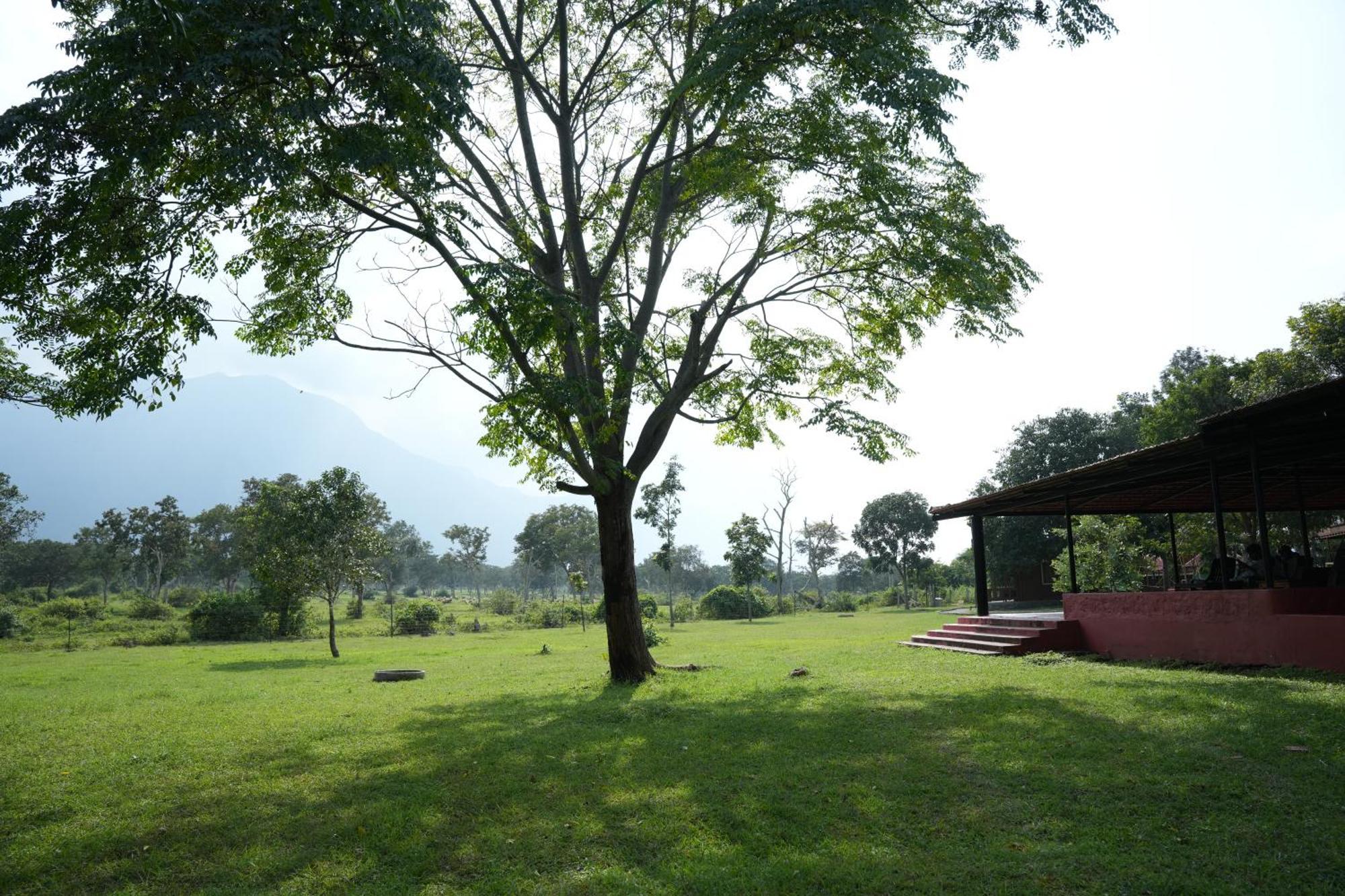 Labdhi Resorts Masinagudi- Stag Groups Not Allowed Exterior photo